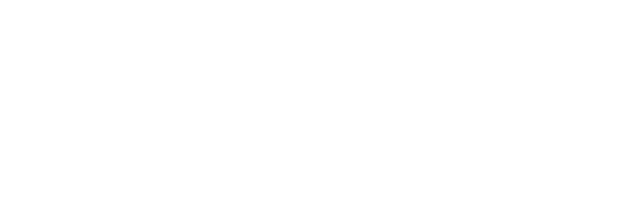 Stellar Phoenix